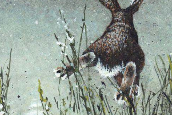 Frohe Ostern - Absage Training